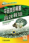 平菇类珍稀菌高效栽培 封面