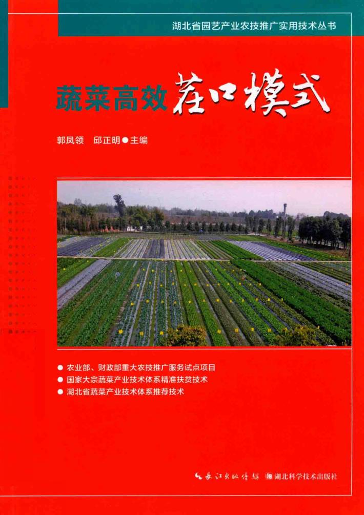 蔬菜高效茬口模式 封面