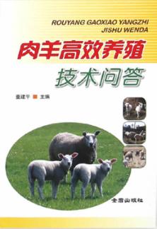 肉羊高效养殖技术问答 封面