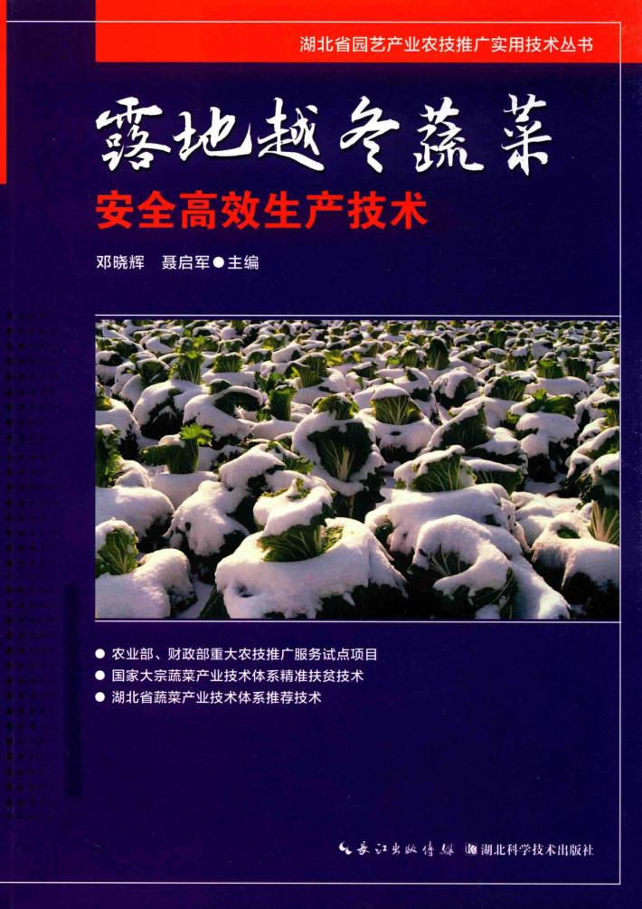 露地越冬蔬菜安全高效生产技术 封面