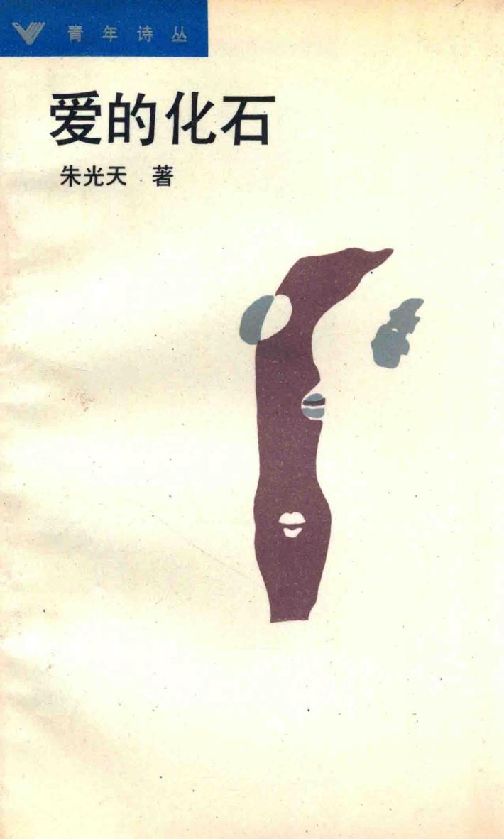 爱的化石 封面