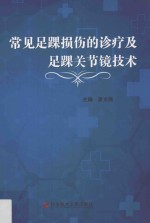 常见足踝损伤的诊疗及足踝关节镜技术 封面