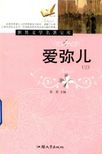 爱弥儿  3 封面