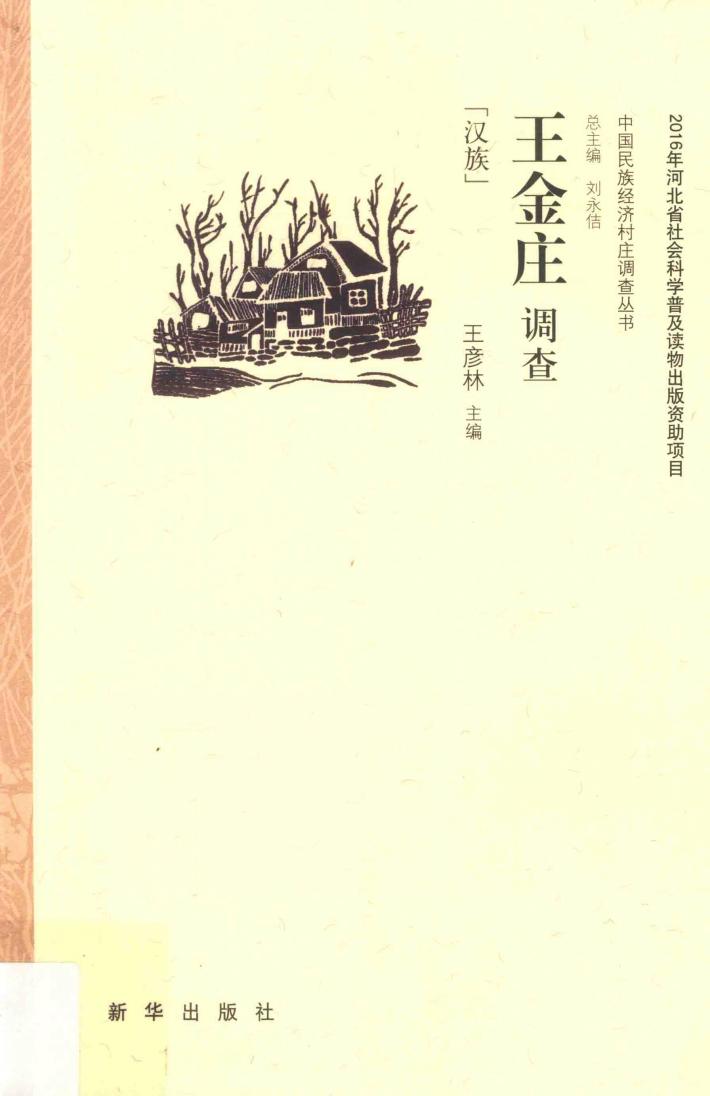 王金庄调查 封面