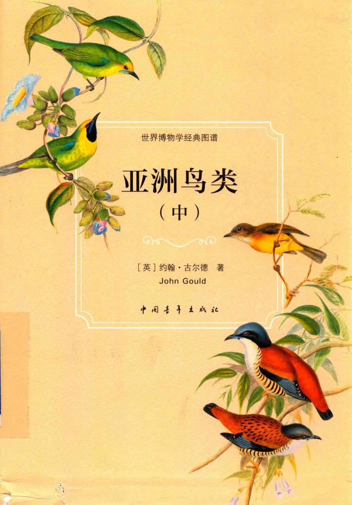 亚洲鸟类  中 封面