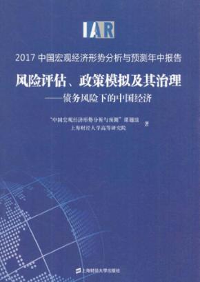 2017中国宏观经济形势分析与预测年中报告  风险评估、政策模拟及其治理 封面
