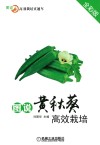 图说黄秋葵高效栽培  全彩版 封面
