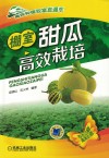 棚室甜瓜高效栽培 封面
