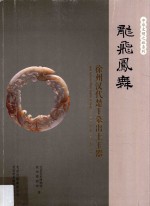 龙飞凤舞  徐州汉代楚王墓出土玉器 封面