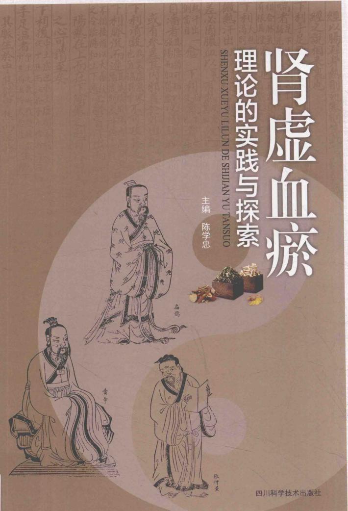 肾虚血瘀理论的实践与探索 封面