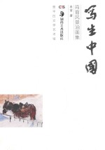 写生中国  肖育风景油画集 封面