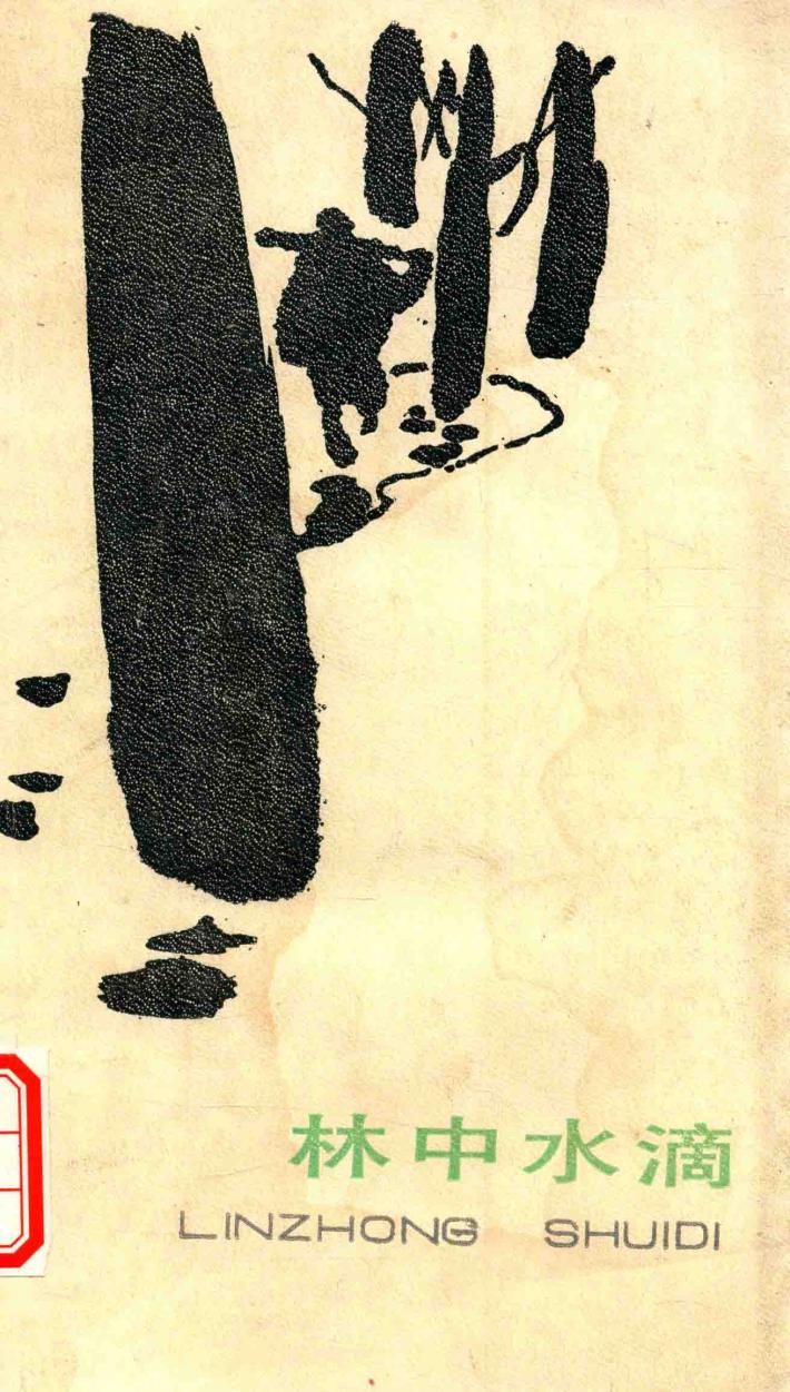林中水滴 封面