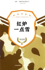 新锐军旅小说家丛书  红炉一点雪 封面