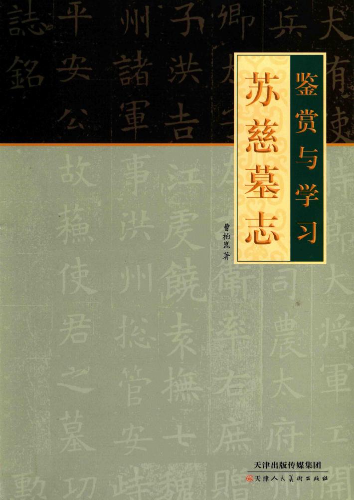 苏慈墓志  鉴赏与学习 封面