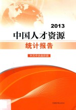 中国人才资源统计报告  2013 封面