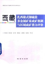 西藏扎西康式锑硫盐多金属矿床成矿机制与区域成矿潜力评价 封面