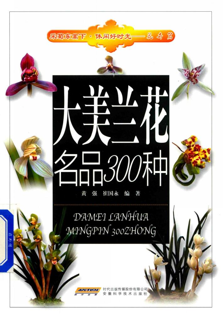 采菊东篱下休闲好时光  大美兰花名品300种 封面