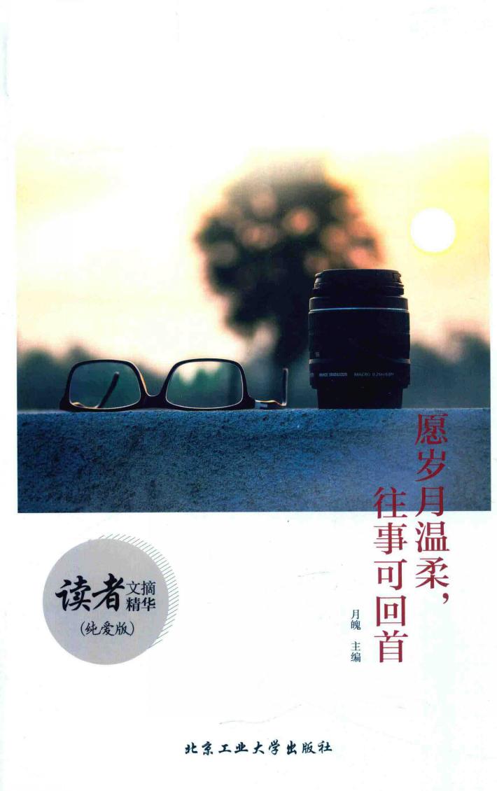 愿岁月温柔，往事可回首  纯爱版 封面