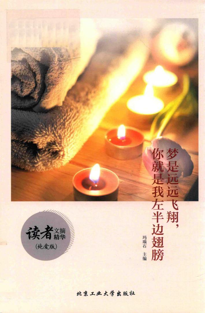 梦是远远飞翔，你就是我左半边翅膀  纯爱版 封面