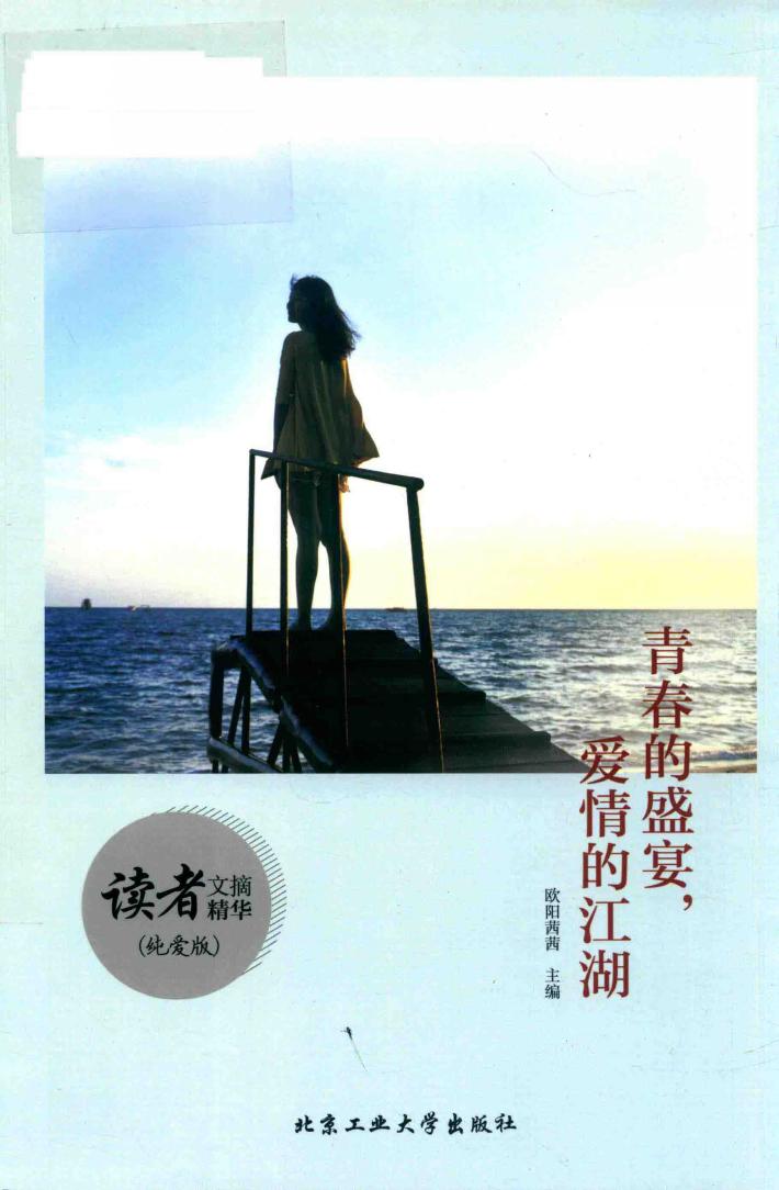 青春的盛宴，爱情的江湖  纯爱版 封面