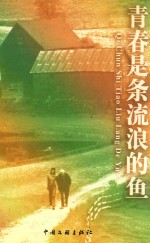 青春是条流浪的鱼 封面