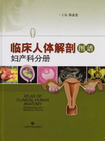 临床人体解剖图谱  妇产科分册 封面