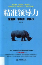 精准领导力  定制度带队伍抓执行 封面
