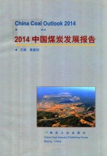 2014中国煤炭发展报告 封面
