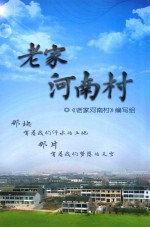 老家河南村 封面