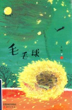灯笼街童话  毛毛球 封面