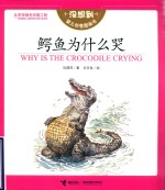 没想到婴儿创意图画书  鳄鱼为什么哭 封面