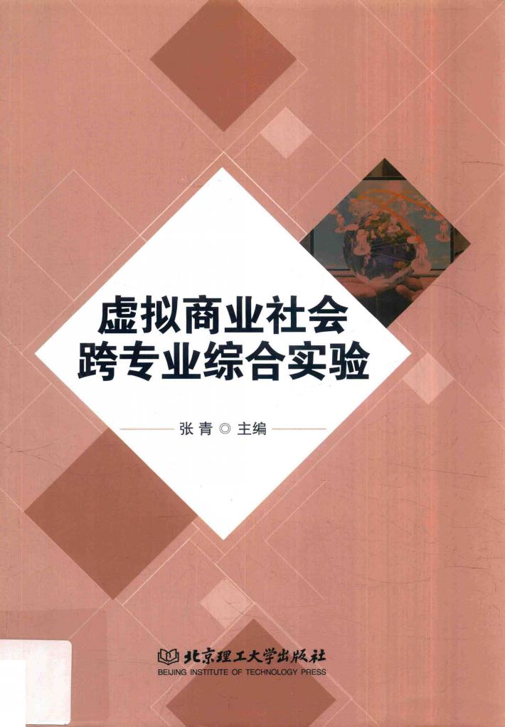 虚拟商业社会跨专业综合实验 封面