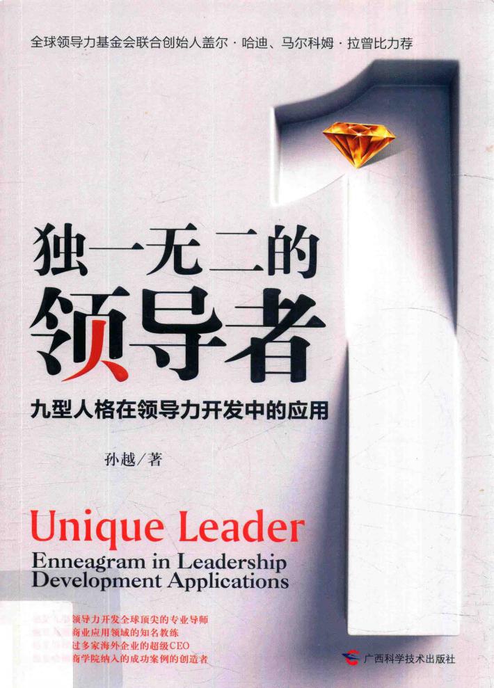 独一无二的领导者  九型人格在领导力开发中的应用 封面