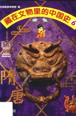 藏在文物里的中国史  6  隋唐 封面