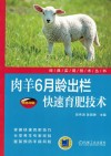 肉羊6月龄出栏快速育肥技术 封面