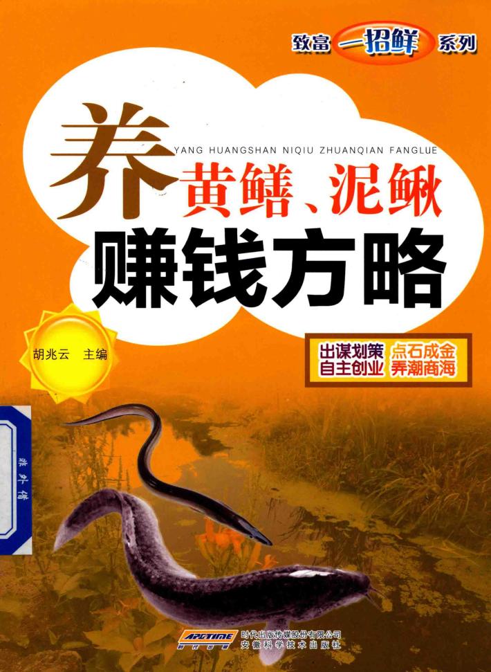 养黄鳝  泥鳅赚钱方略 封面