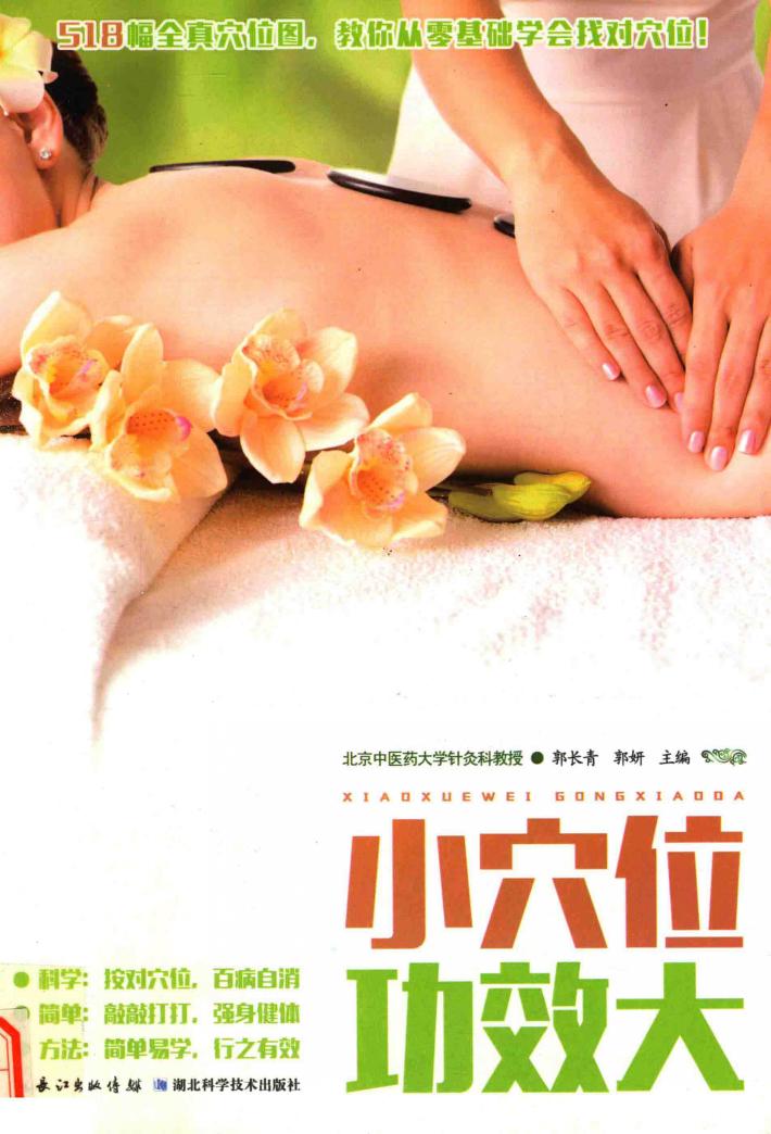 中国名医谈养生系列丛书  小穴位功效大 封面