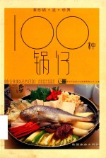 100种锅仔 封面