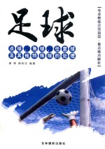 足球点球、角球、任意球及其他特殊球的处理 封面