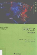 灵魂之尘  意识的魔法 封面