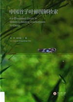 中国竹子叶蝉图解检索 封面