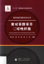 聚对苯撑苯并二恶唑纤维 封面