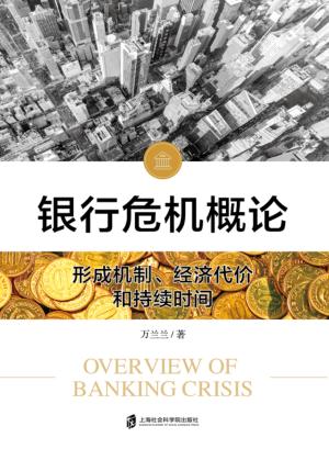 银行危机概论  形成机制、经济代价和持续时间 封面