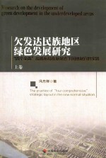 欠发达民族地区绿色发展研究  四个全面战略布局在新常态下因地制宜的实践  上 封面
