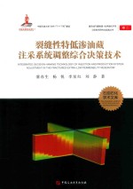 裂缝性特低渗油藏注采系统调整综合决策技术 封面
