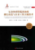复杂块状特低渗油藏储层改造与注采工程关键技术 封面