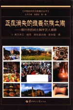 正在消失的维吾尔族土陶  喀什市民间土陶手艺人调查 封面