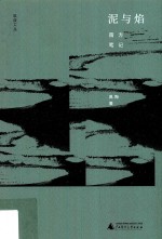 极度文丛  泥与焰  南方笔记 封面