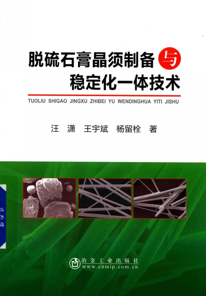 脱硫石膏晶须制备与稳定化一体技术 封面