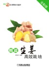 图说生姜高效栽培 全彩版